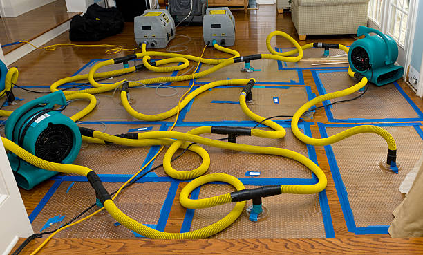 Professional Water Damage Repair technician working in Lester, AL