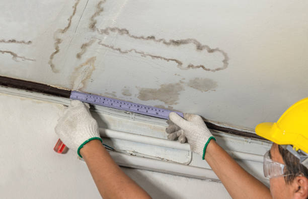 Affordable Water Damage Repair solutions in Lester, AL